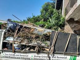 Best Appliance Removal  in Alton, TX